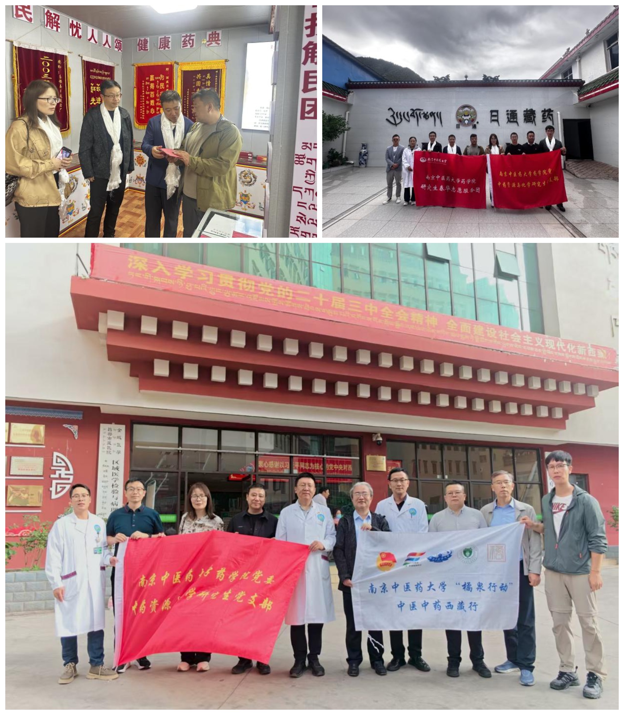 雪域杏林同心路，南中医人向“光...